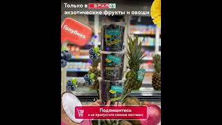 SPAR экзотические фрукты // PRODUCTION PROFIT TEAM