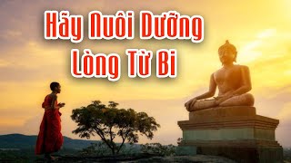 PHONG THỦY 24H | HÃY NUÔI DƯỠNG LÒNG TỪ BI