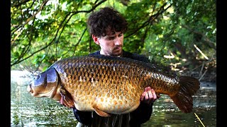 40lb + UK Common Carp