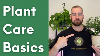 Plant Care Tips for Beginners: Learning your Plant's Language