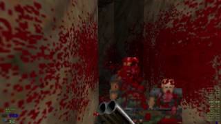 Evilution W/Brutal Doom: Map 23