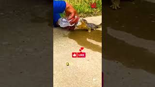 You won't believe what the squirrel did after the man saved him #shorts