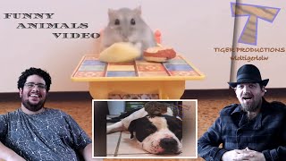 BEST FREINDS react to... SUPER HARD try not to laugh challenge-funny animals