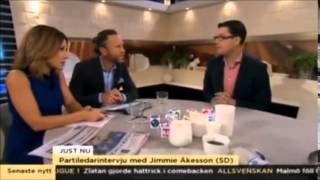 Jimmie Åkesson i Nyhetsmorgon