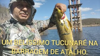 Um lindo tucunaré, pescado na barragem atalho - Brejo Santo 🇧🇷