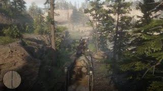 Red Dead Redemption 2 Beautiful view