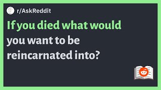 (r/AskReddit) If you died what would you want to be reincarnated into? #afterlife #viral #askreddit