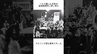 【世紀の勘違い】ベルリンの壁に関する興味深い雑学【ゆっくり】 #世界史＃Shorts