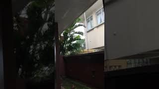 Hurricane Maria hit Puerto Rico