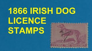 1866 Irish Dog Licence Stamps #philately #stamps #stampcollecting