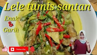 Resep dan cara membuat lele tumis santan