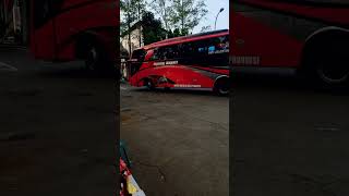 BUS AGUNG SEJATI #agungsejati #shrots