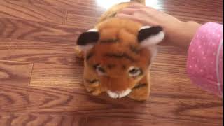 Me Playing with My Toy Tiger (for Jack Kotler)