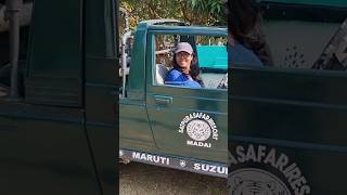 Safari Gypsy Fun Drive