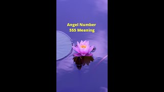 Angel Number 555 Meaning - #shorts