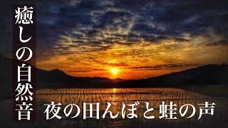 【癒しの自然音】眠りを誘う懐かしいカエルの声でリラックスする（睡眠用BGM・作業用BGM・ASMR・イヤホン推奨）　Japanese healing sound