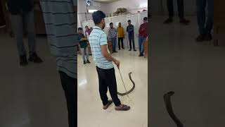 #song #music #newsong #sagar_sahu_0 #snake #snakecare4u #cobra #snakeresque #youtube #ytshort #short