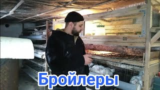 Как убрать влажность в курятнике /Отопление помещения