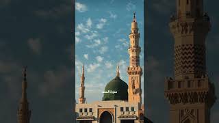 سورة المسد الآيات من 1 إلى 5 بصوت القارئ سعد الغامدي #حالات  #quran #قرآن  #shorts