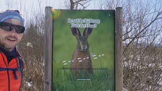 Rundweg Grüntensee | Römerbrücke | Wandern mit Hund | Unterwegs mit Herrn Schmidt  #nature #stausee