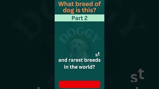 🐾 Guess the Breed Challenge! Part - 2 🐶| Dog Breed  | Dog Lovers