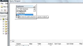 Write a simple SQL query: SQL Training by SQLSteps