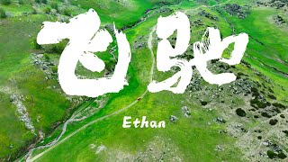 飞驰的Ethan