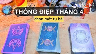 chọn 1 tụ bài tarot - THÔNG ĐIỆP DÀNH CHO THÁNG 4 LÀ GÌ? - NĂNG LƯỢNG TỔNG QUAN ❤️ Nhã Yên