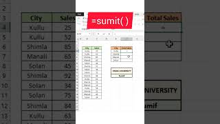 Excel में sumif formule का ऐसा magic 🔥🔥पहले कभी नही देखा होगा | #shorts #excel