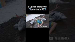 сумський дельфінарій #феліксредька #суми #почечун