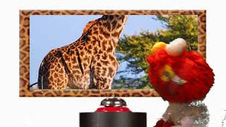 Elmo Monkey Flower Come To Giraffe Contest