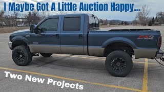 I Bought Not One, But Two New Projects! Got A Little Auction Happy lol