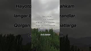 Mustahkam langar #iqtiboslar #hikmatlar #quotes