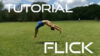 Tutorial Flick