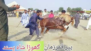 Horse dance Pakistan 2022 | ghoda shah pasand mela peer shah