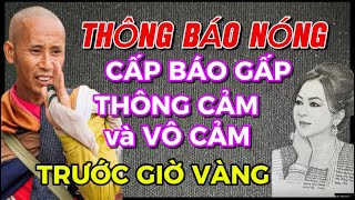 THÔNG BÁO NÓNG TRƯỚC GIỜ VÀNG THÔNG CẢM HAY VÔ CẢM HAY BỊ CẢM