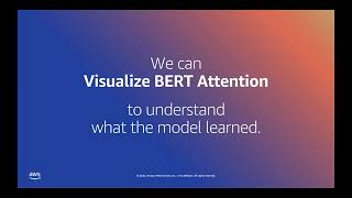 Monthly Webinar - Visualize BERT Attention, Curated SageMaker Reading List, Amazon Rekognition