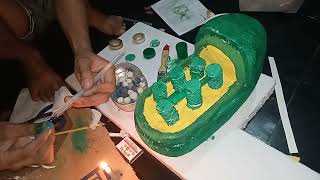 THE CHLOROPLAST MODEL