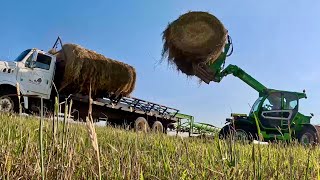 Knock It Down, Bale It Up, and HAUL IT OUT!!