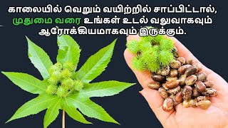 காலையில் வெறும் வயிற்றில் சாப்பிட்டால், முதுமை வரை உங்கள் உடல் வலுவாகவும் ஆரோக்கியமாகவும் இருக்கும்.