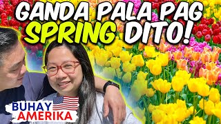 🇺🇸 BUHAY AMERIKA: SPRING SA AMERIKA | THE FLOWER FIELD | SPRING BREAK | PINOY FAMILY SA CALIFORNIA