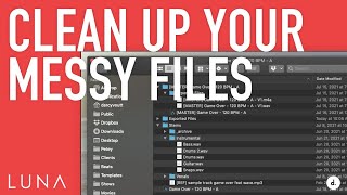 How to Organize Files with LUNA Projects