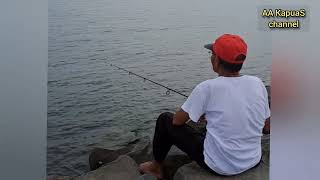 Mancing Ikan di Laut @aakapuas #mancingikan #mancingdilaut #strikeikan