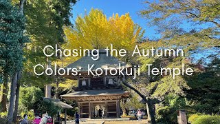 Chasing the Autumn colors in the mountains near Tokyo: Kotokuji Temple