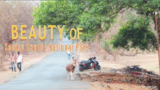 Beauty Of Sanjay Gandhi National Park | Borivali Mumbai