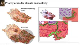 The “New Conservation” Trilemma – how to protect biodiversity, climate and sustainable development?