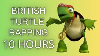 British Turtle Rapping 10 Hours