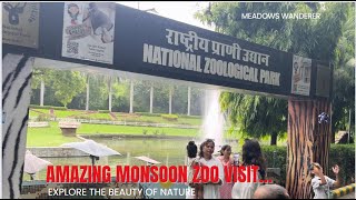 National Zoological Park, Delhi , Video date 11-08-24