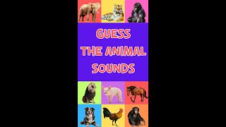 Guess The Animal Sound For Kids short#