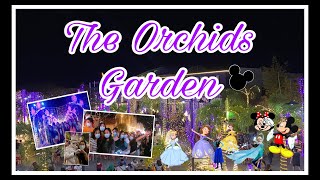 The Orchids Garden ( Mini Disneyland ) #vlogmas